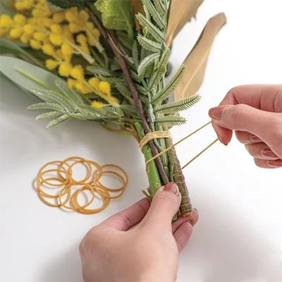 Compostable Rubber Bands