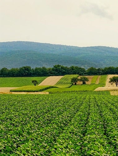 Agriculture