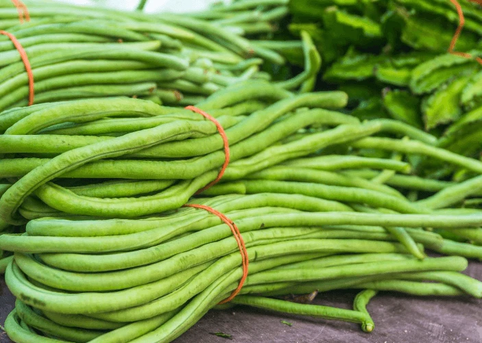 Vegetable Rubber Bands Vegetable Rubber Bands
